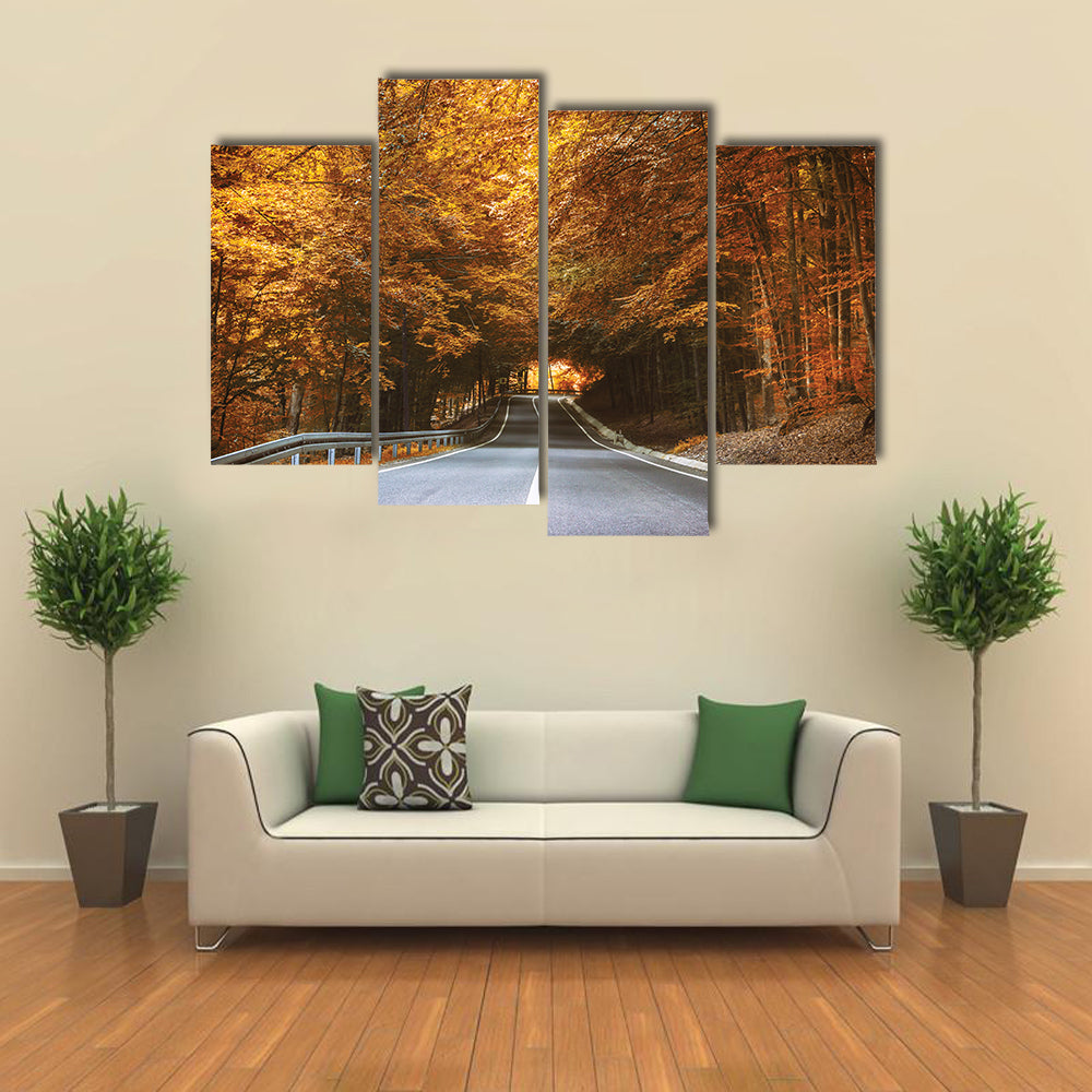 Forest Road in Autumn Canvas Wall Art