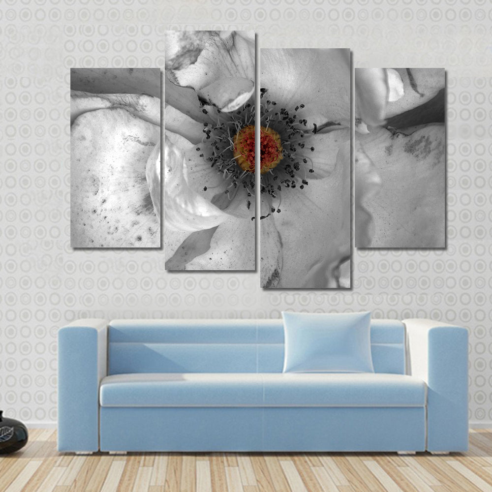 Selective Color Macro Flower Canvas Wall Art