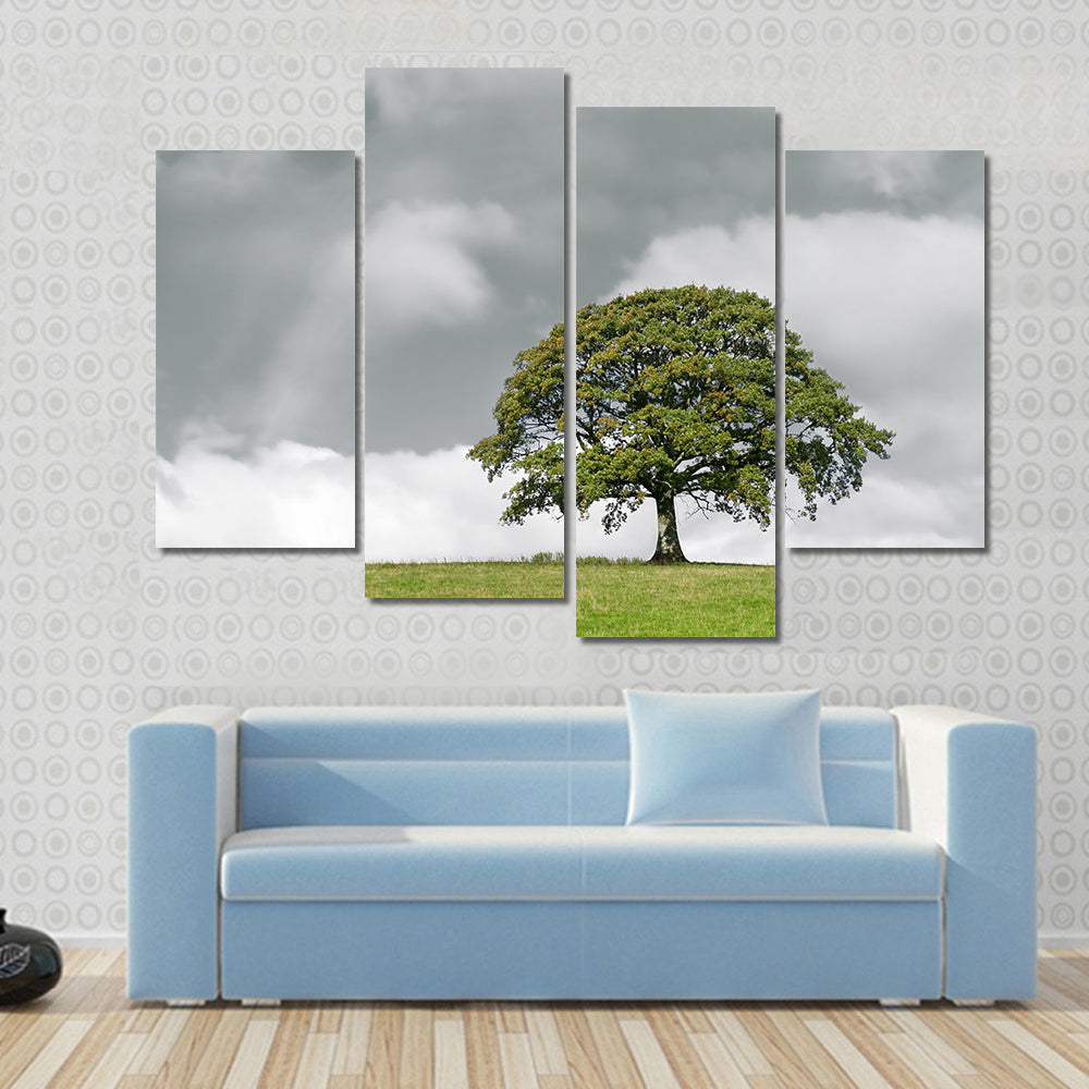 Summer Oak on Grassy Hill Canvas Wall Art