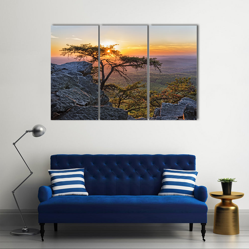 Gnarled Tree at Sunset Overlook Canvas Wall Art