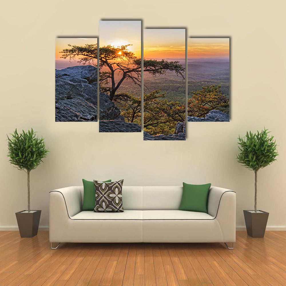 Gnarled Tree at Sunset Overlook Canvas Wall Art