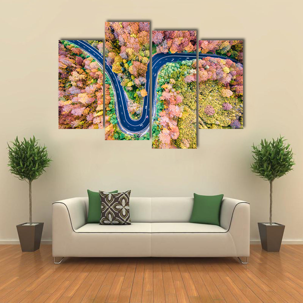 Curved Winding Road Through The Forest Canvas Wall Art