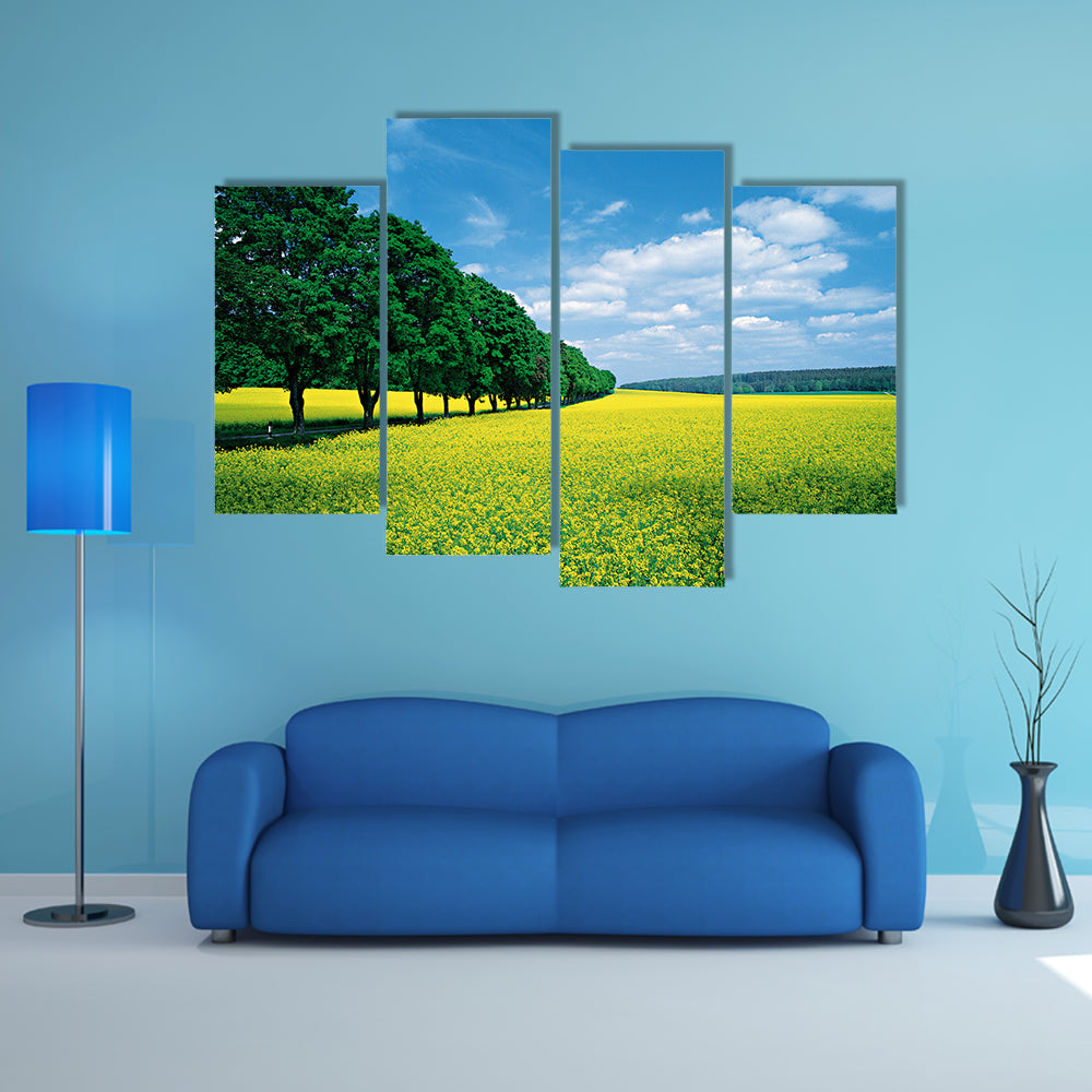 Spring Fields And Allee In Summer Canvas Wall Art