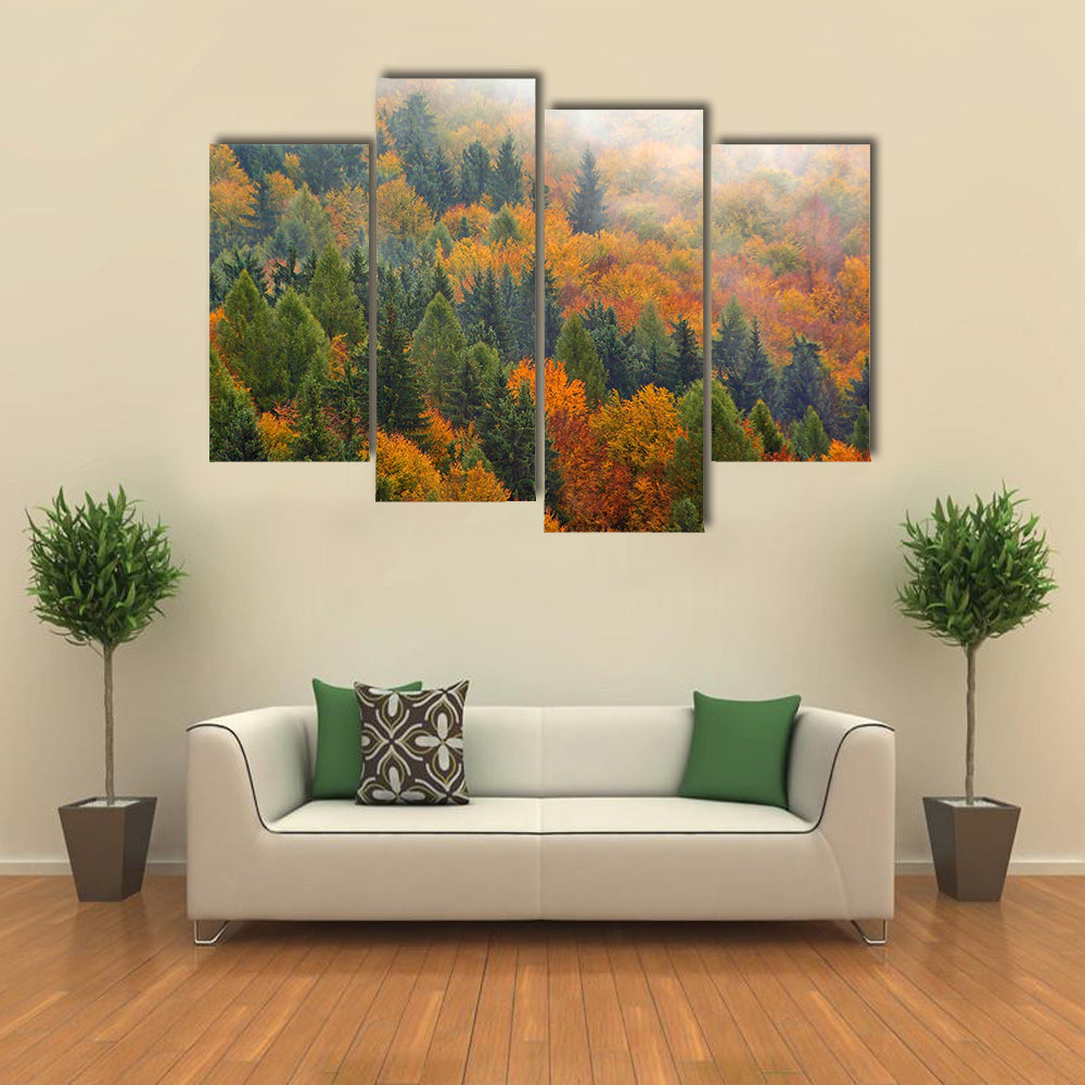 Foggy Autumn Forest In Romania Canvas Wall Art