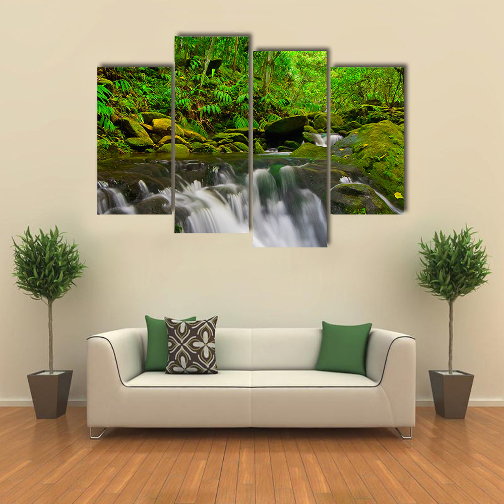 Stream Flowing Through Lush Jungle In Maui Hawaii Canvas Wall Art