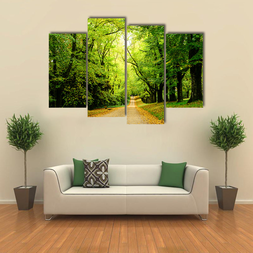Path In The Forest Woods Canvas Wall Art