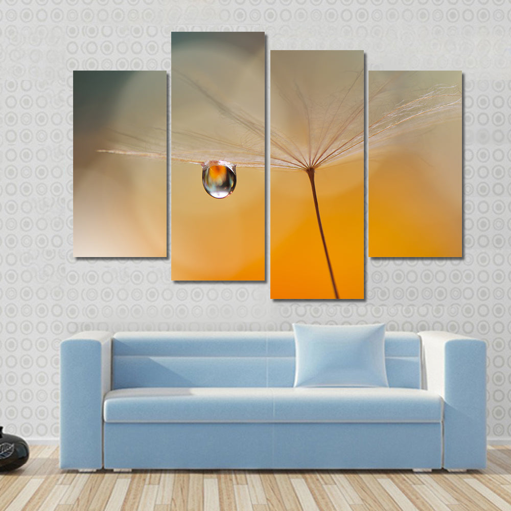 Dandelion Seed with Water Droplet Canvas Wall Art