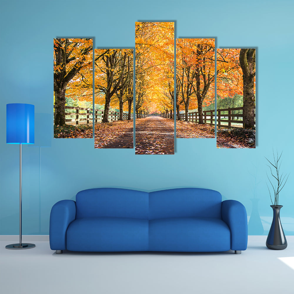 Autumn Tree Tunnel with Golden Leaves Canvas Wall Art