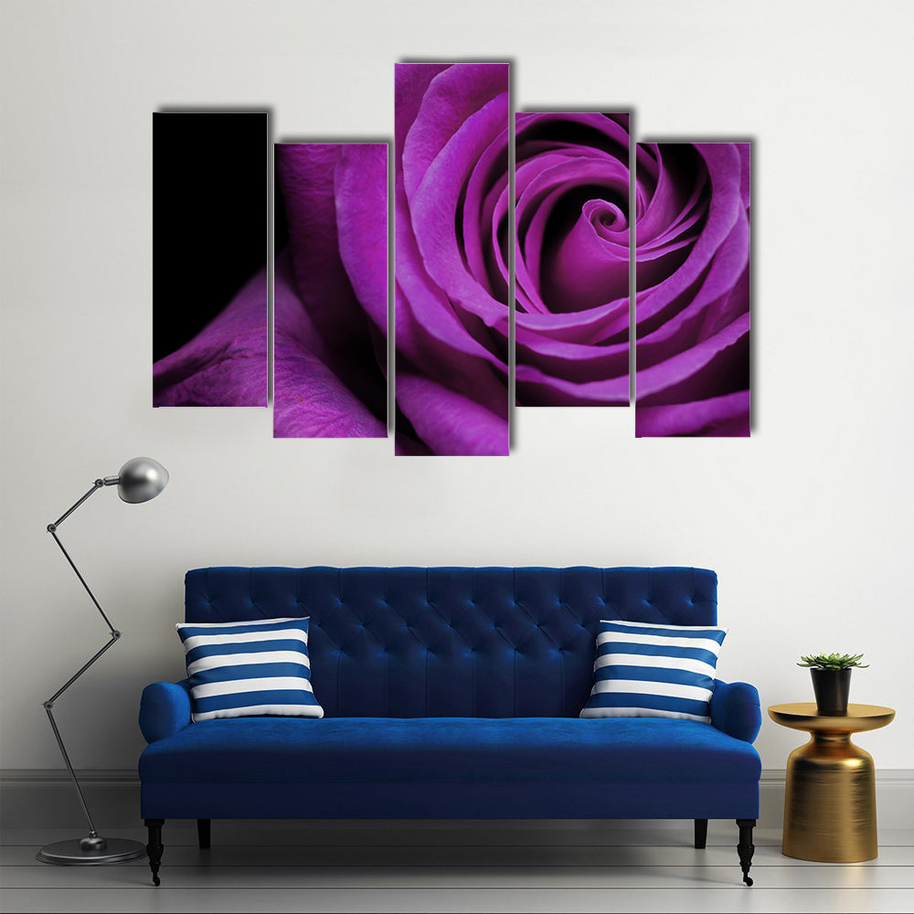 Purple Rose Close-Up Canvas Wall Art