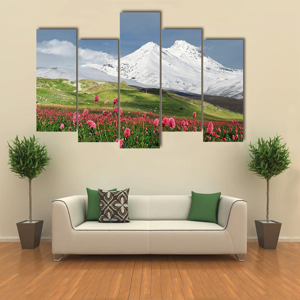 Blooming Flowers in Alpine Meadow Canvas Wall Art