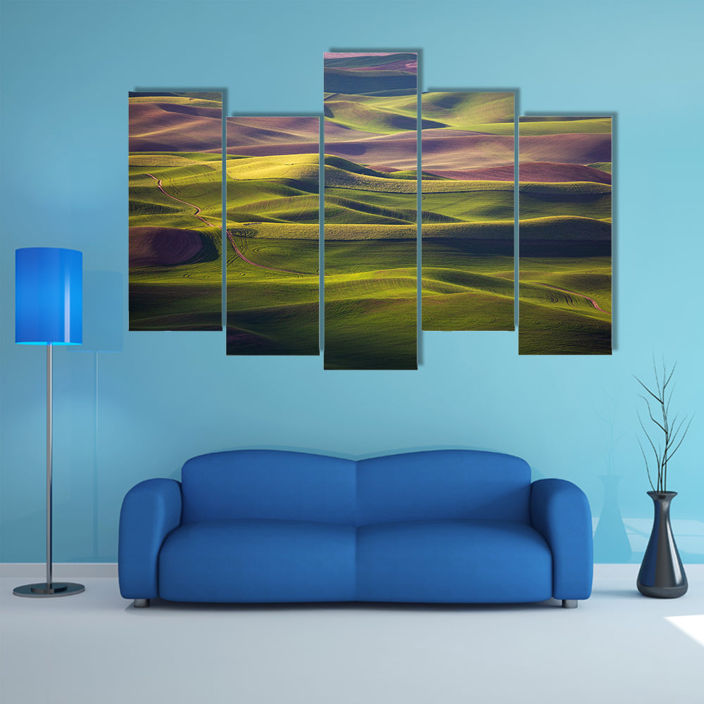 Palouse Rolling Hills at Golden Hour Canvas Wall Art