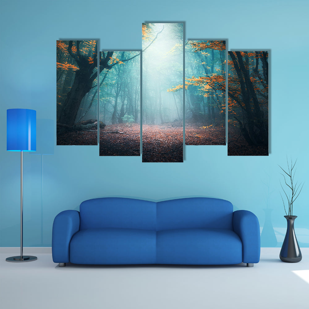 Mystical Forest in Autumn Canvas Wall Art