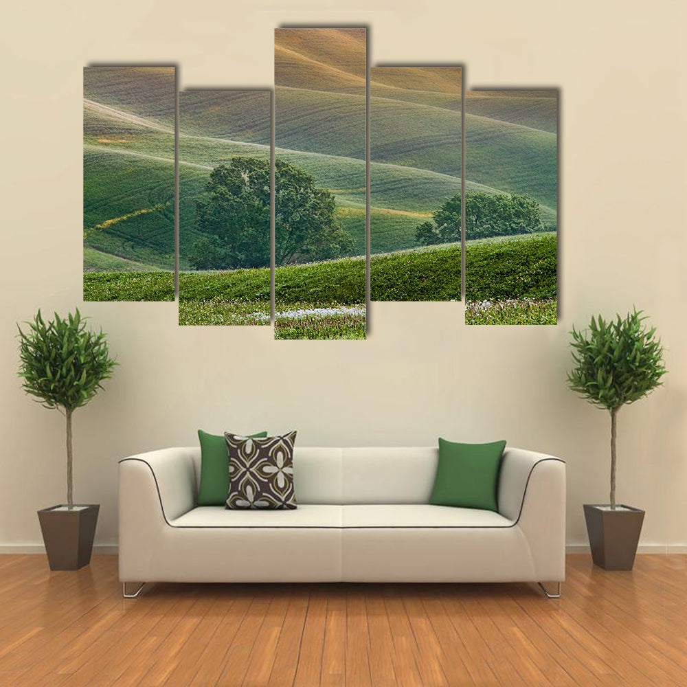 Tuscany Rolling Hills at Golden Hour Canvas Wall Art