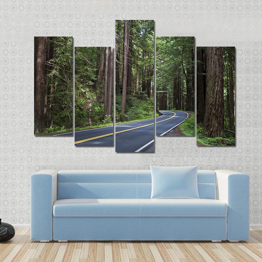 Redwoods Forest In California Canvas Wall Art