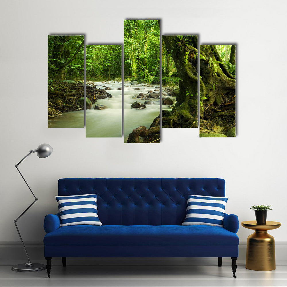 Tropical River At Selangor State In Malaysia Canvas Wall Art