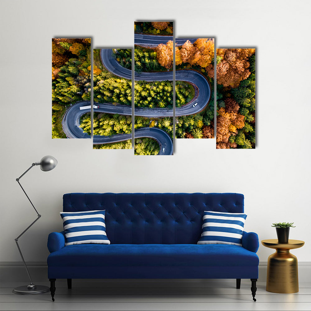 Winding Forest Road From Top Canvas Wall Art