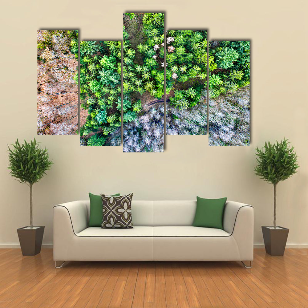 Aerial View Of Trees In The Vosges Mountains In Alsace France Canvas Wall Art