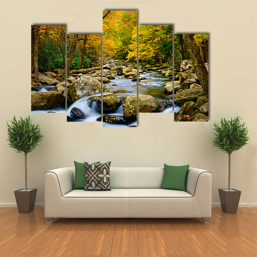 Rushing Stream in Great Smokey Mountains Canvas Wall Art