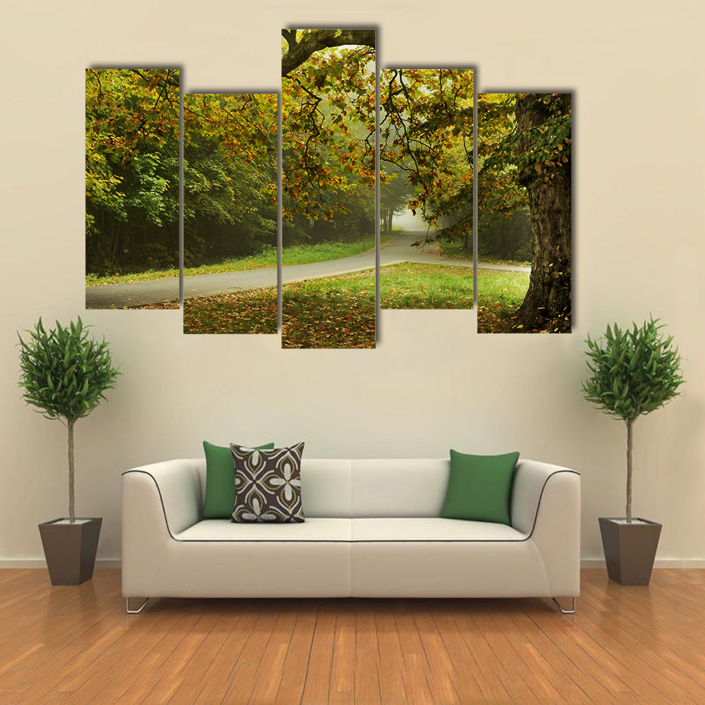 Misty Autumn Forked Path Canvas Wall Art