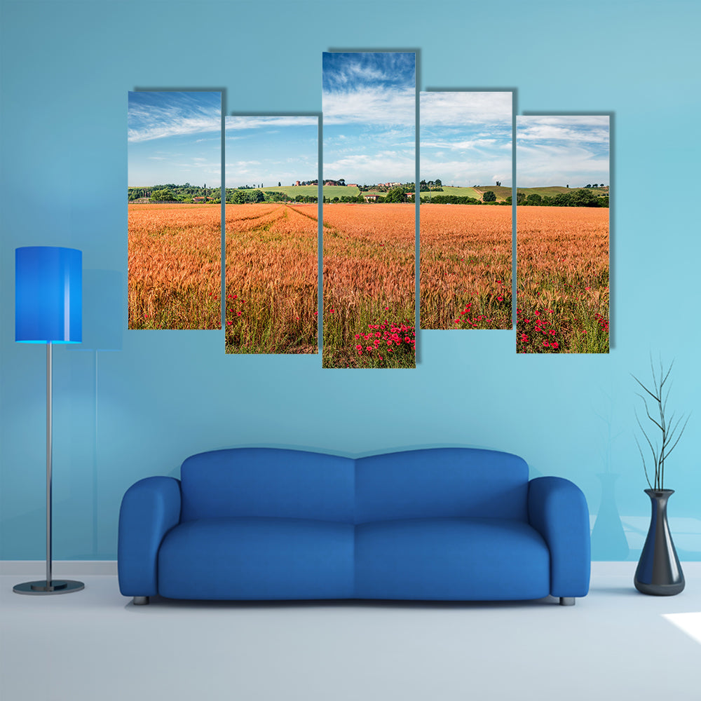 Wheat Field In Tuscany Canvas Wall Art