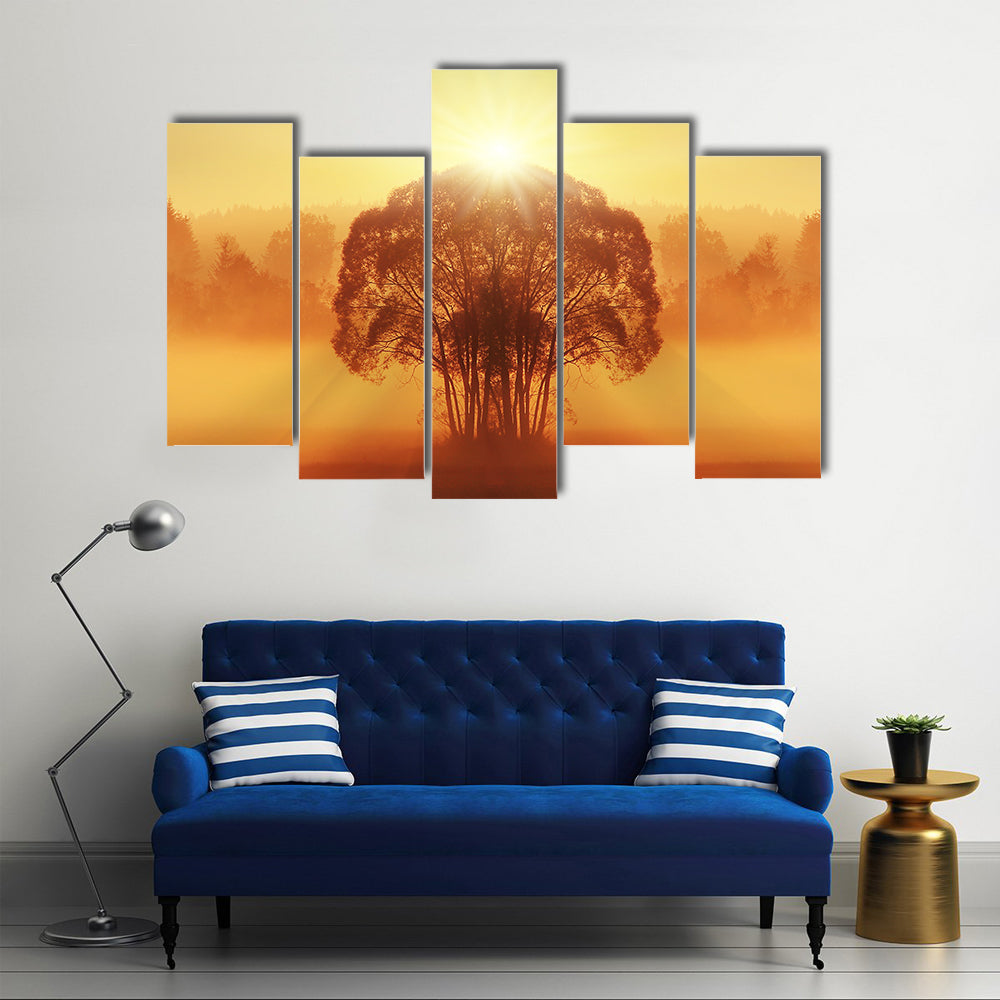 Lone Tree in Golden Morning Mist Canvas Wall Art