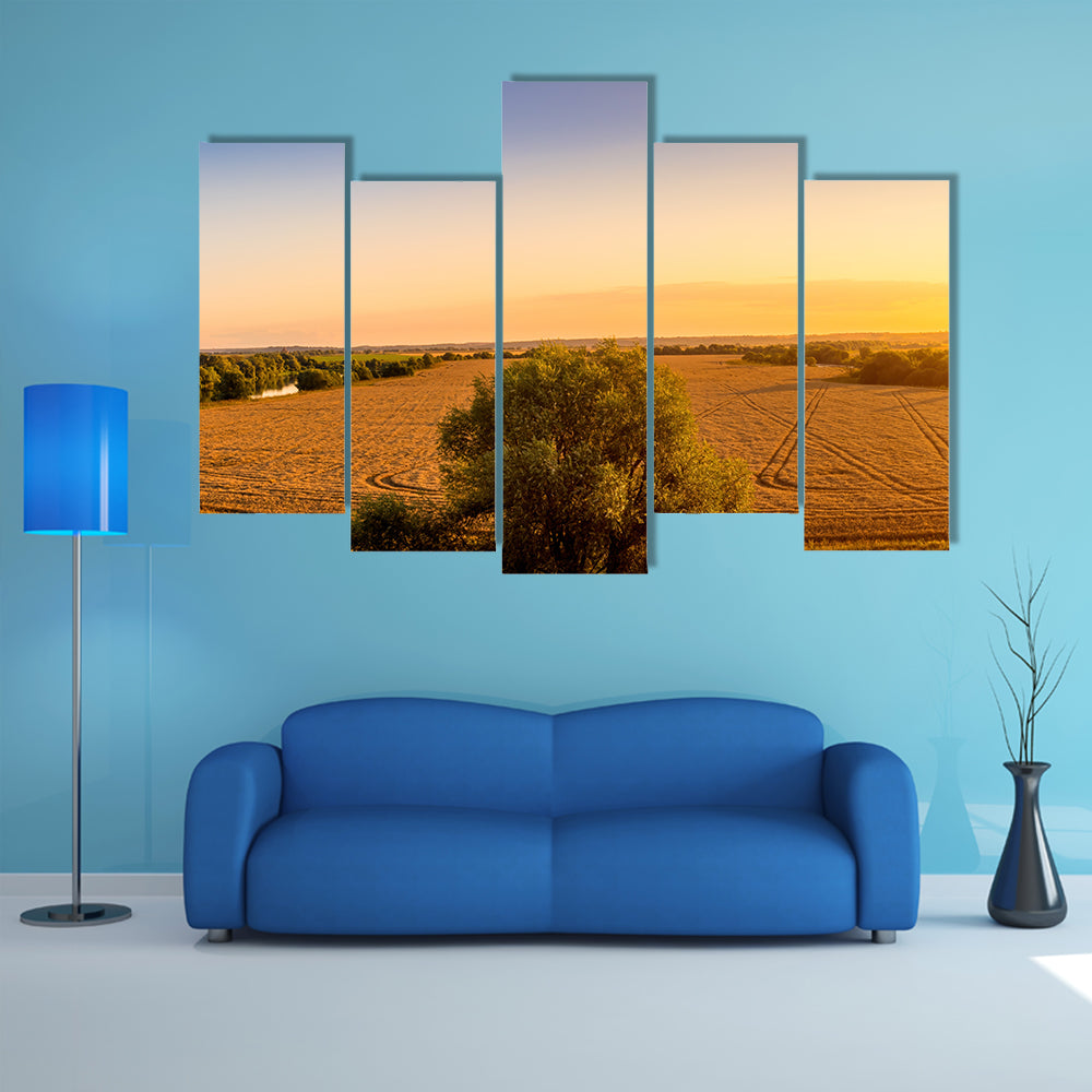 Sunset Over Golden Field with Curved Tracks Canvas Wall Art