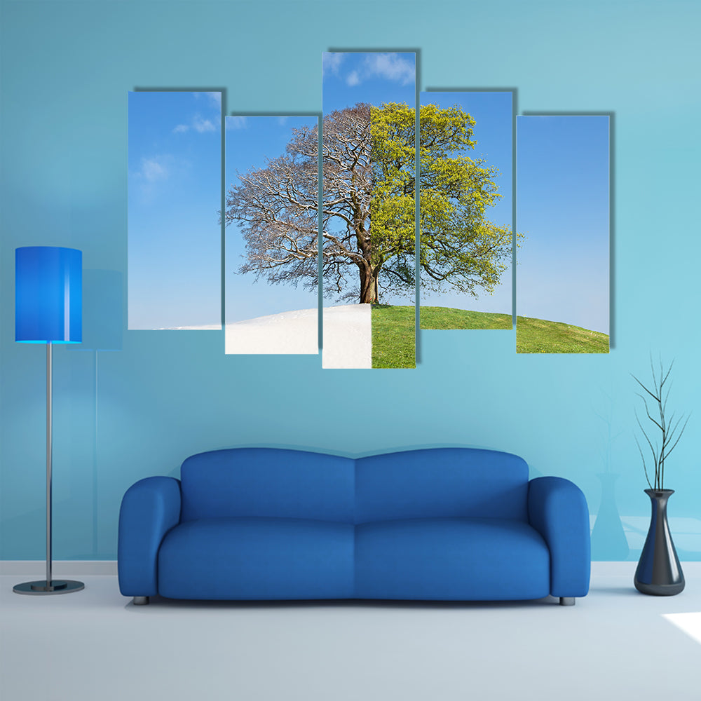 Tree Split Between Winter and Summer Canvas Wall Art