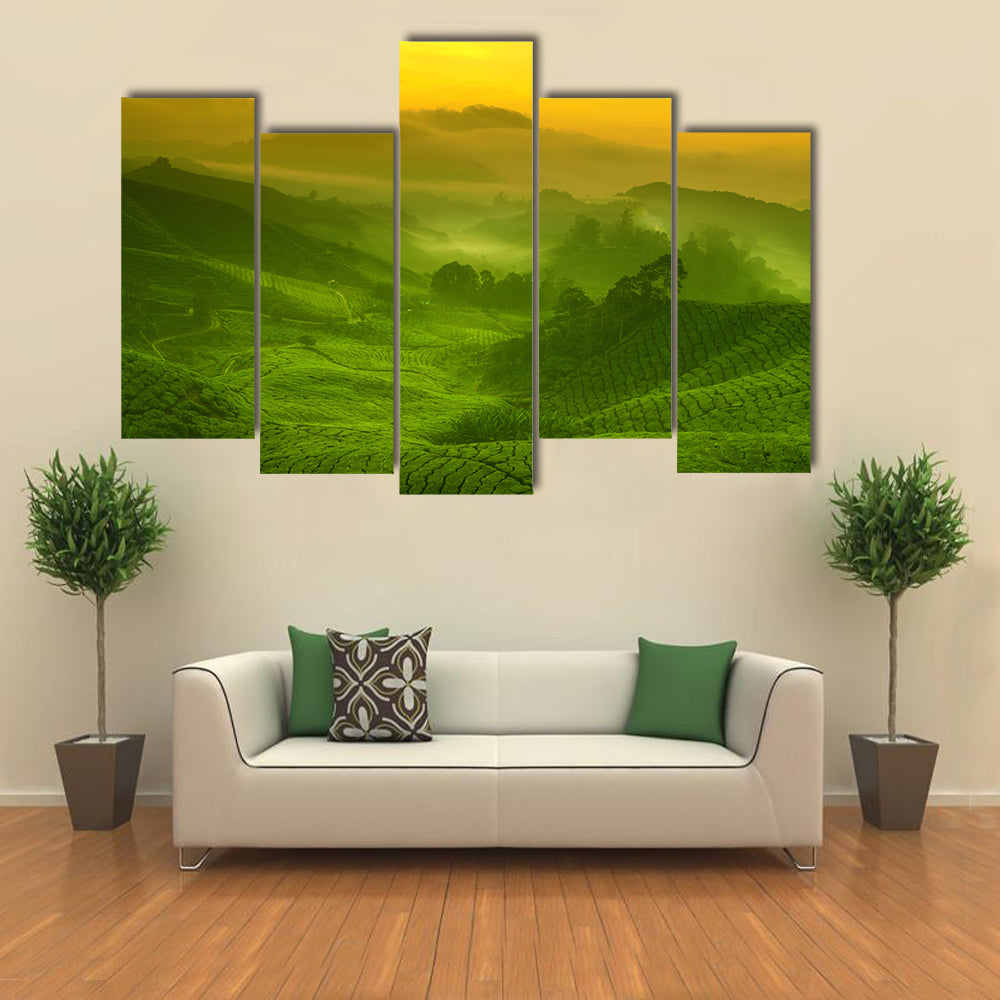 Tea Plantation In Cameron Highland At Sunrise Canvas Wall Art