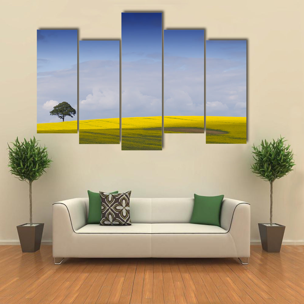 Yellow Rapeseed Field with Lone Tree Canvas Wall Art
