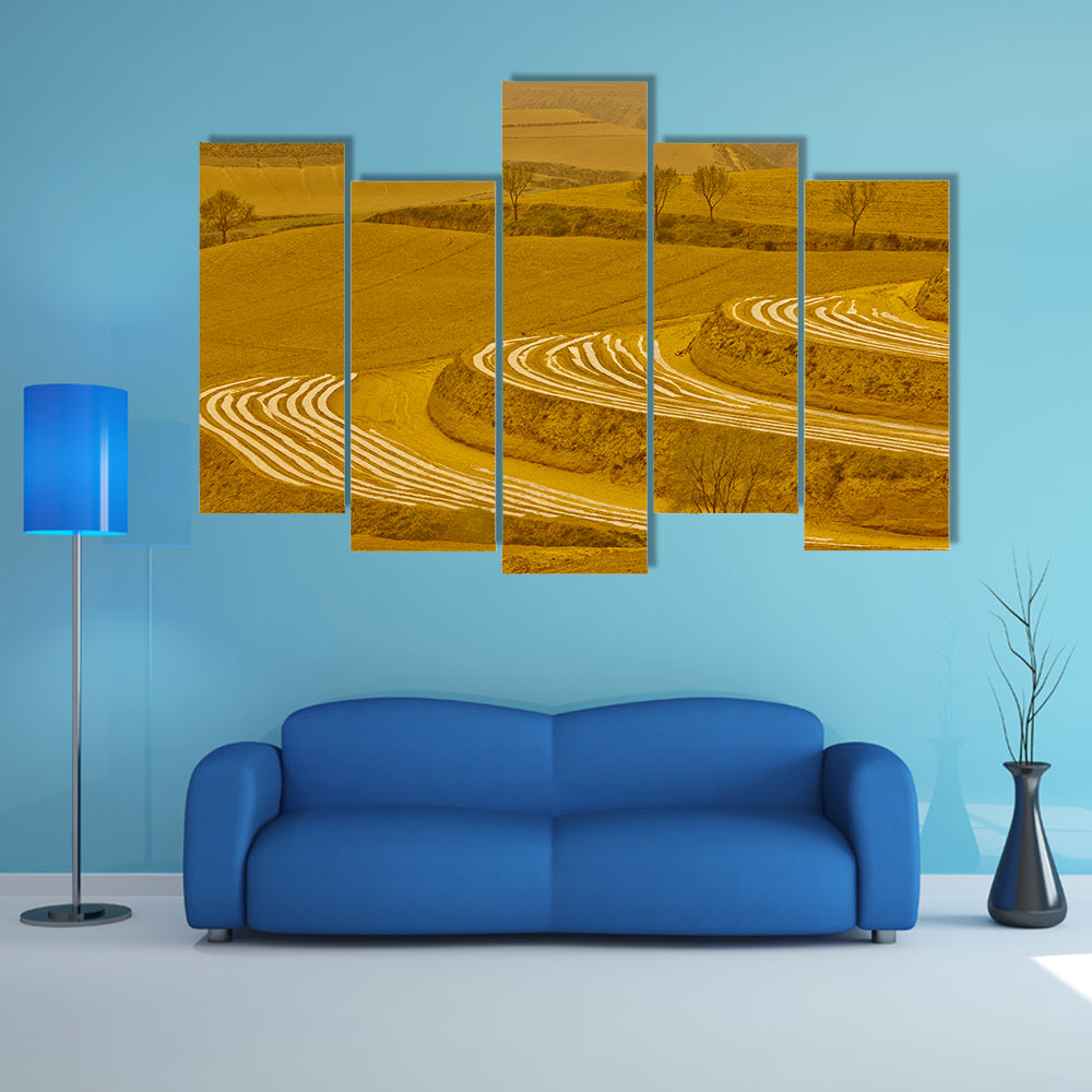 Loess Plateau Terraced Fields Canvas Wall Art