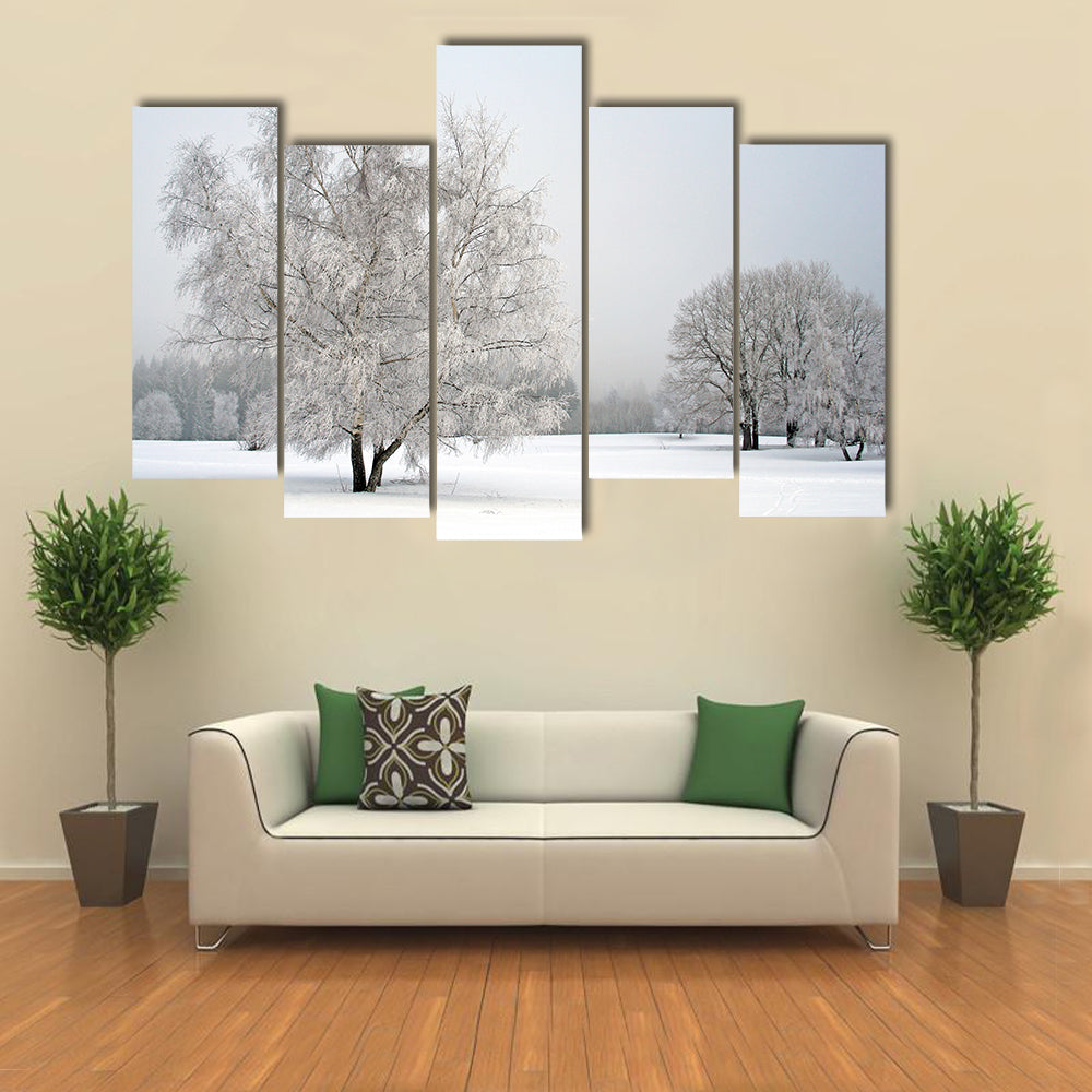 Frosted Trees in Snowy Field Canvas Wall Art