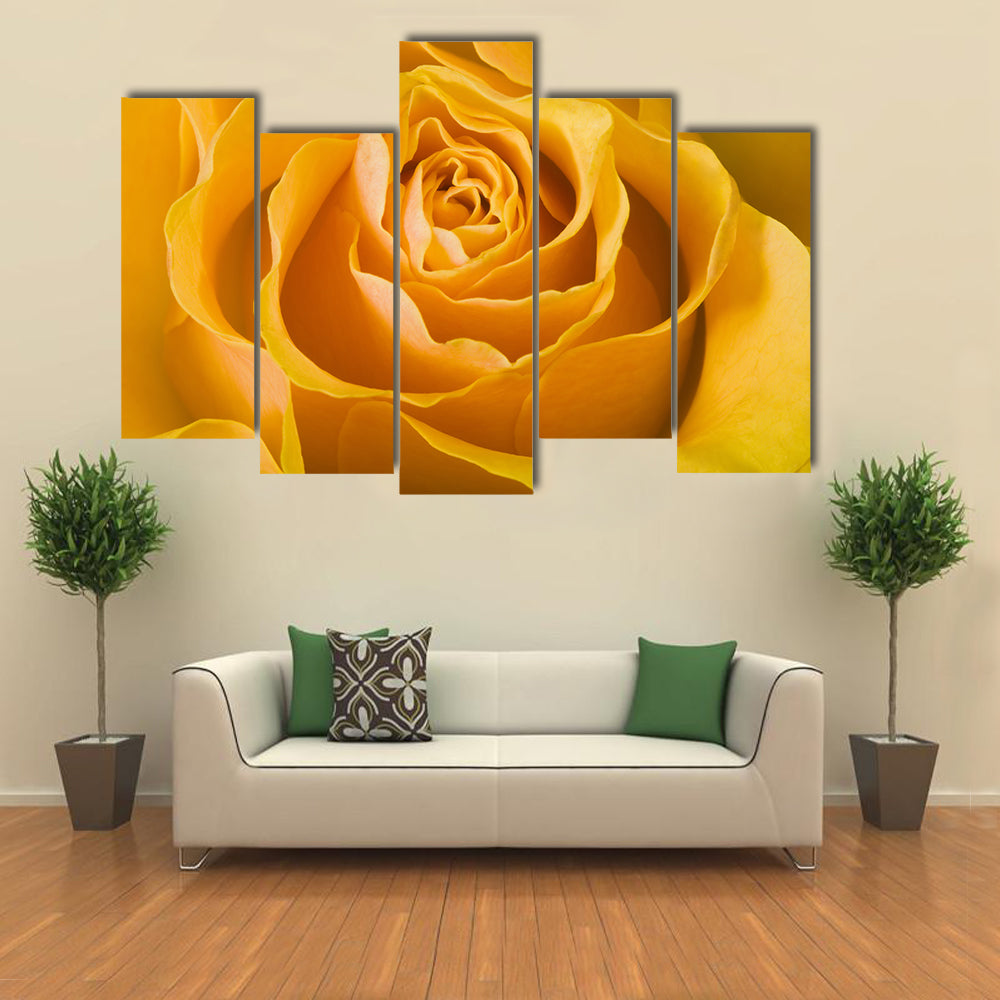 Close Up Of Rose Canvas Wall Art