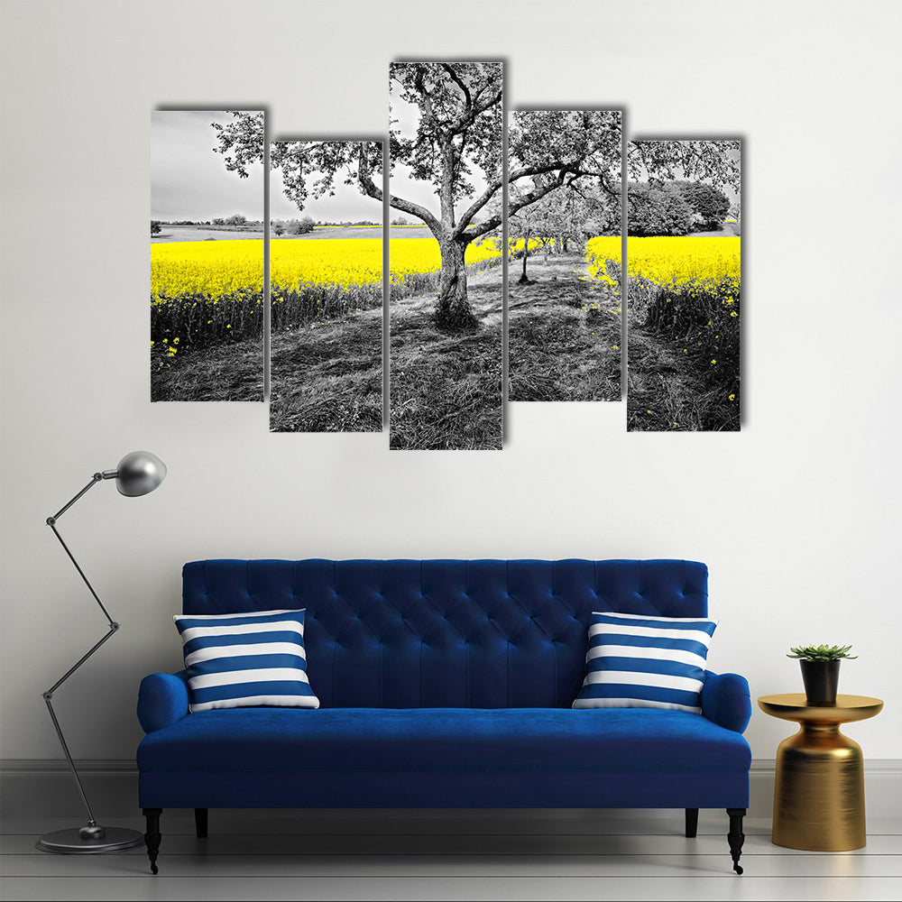 Yellow Canola Field with Large Tree and Path Canvas Wall Art