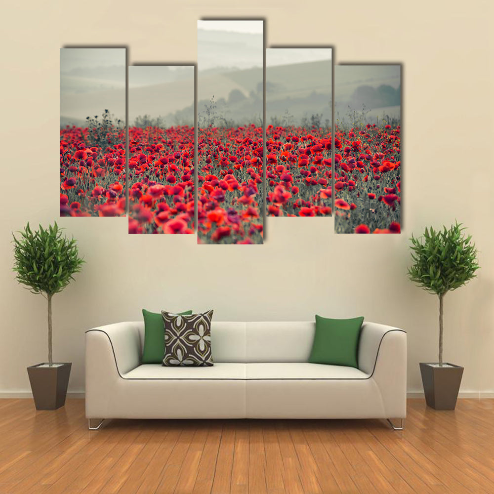 Field of Red Poppies Canvas Wall Art