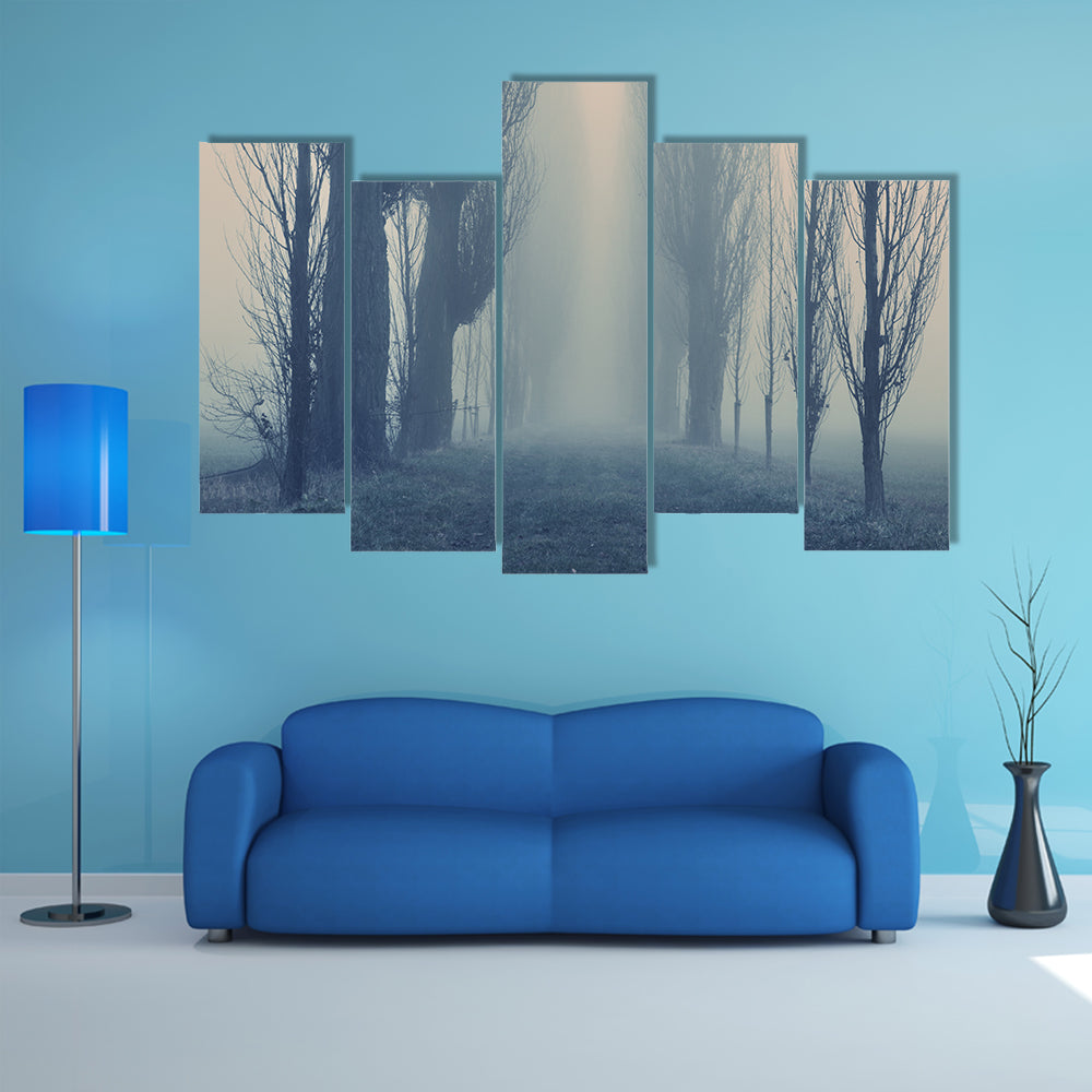 Autumn Fog in the Old Forest Canvas Wall Art