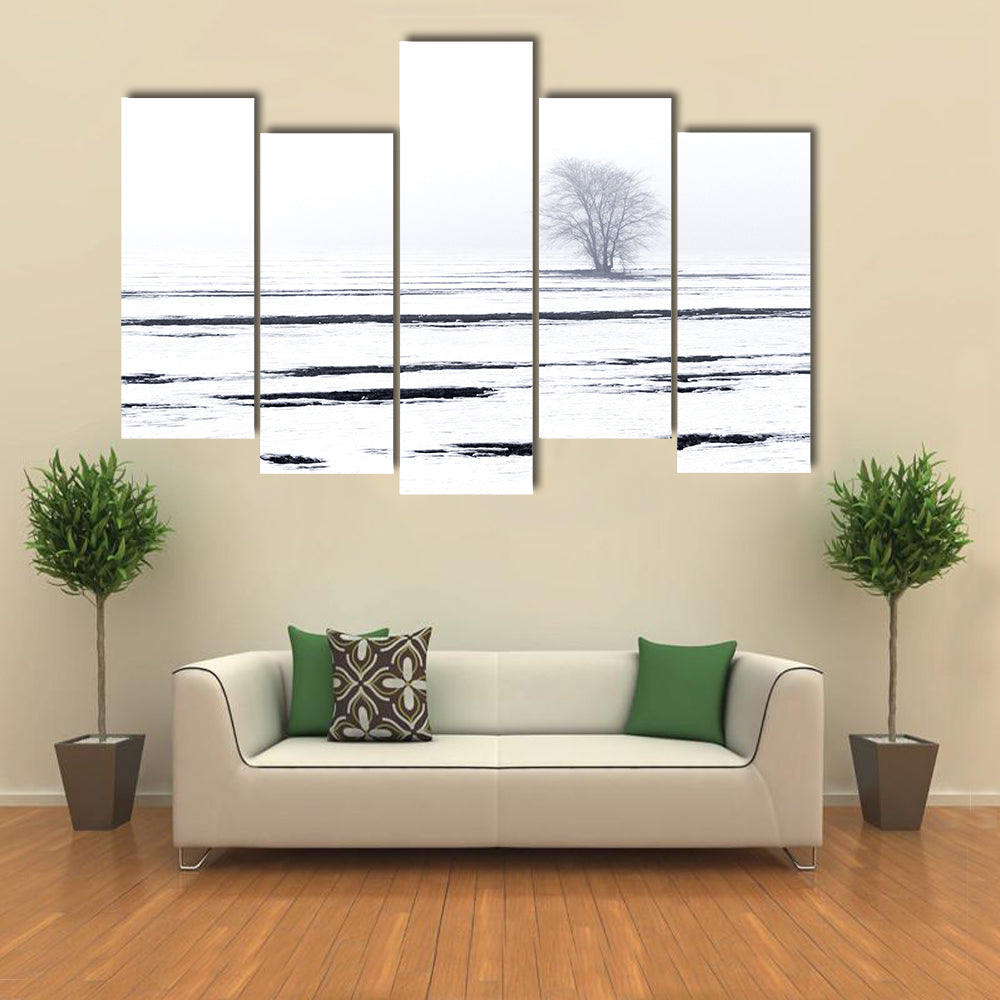Solitary Tree in Snowy Field Canvas Wall Art