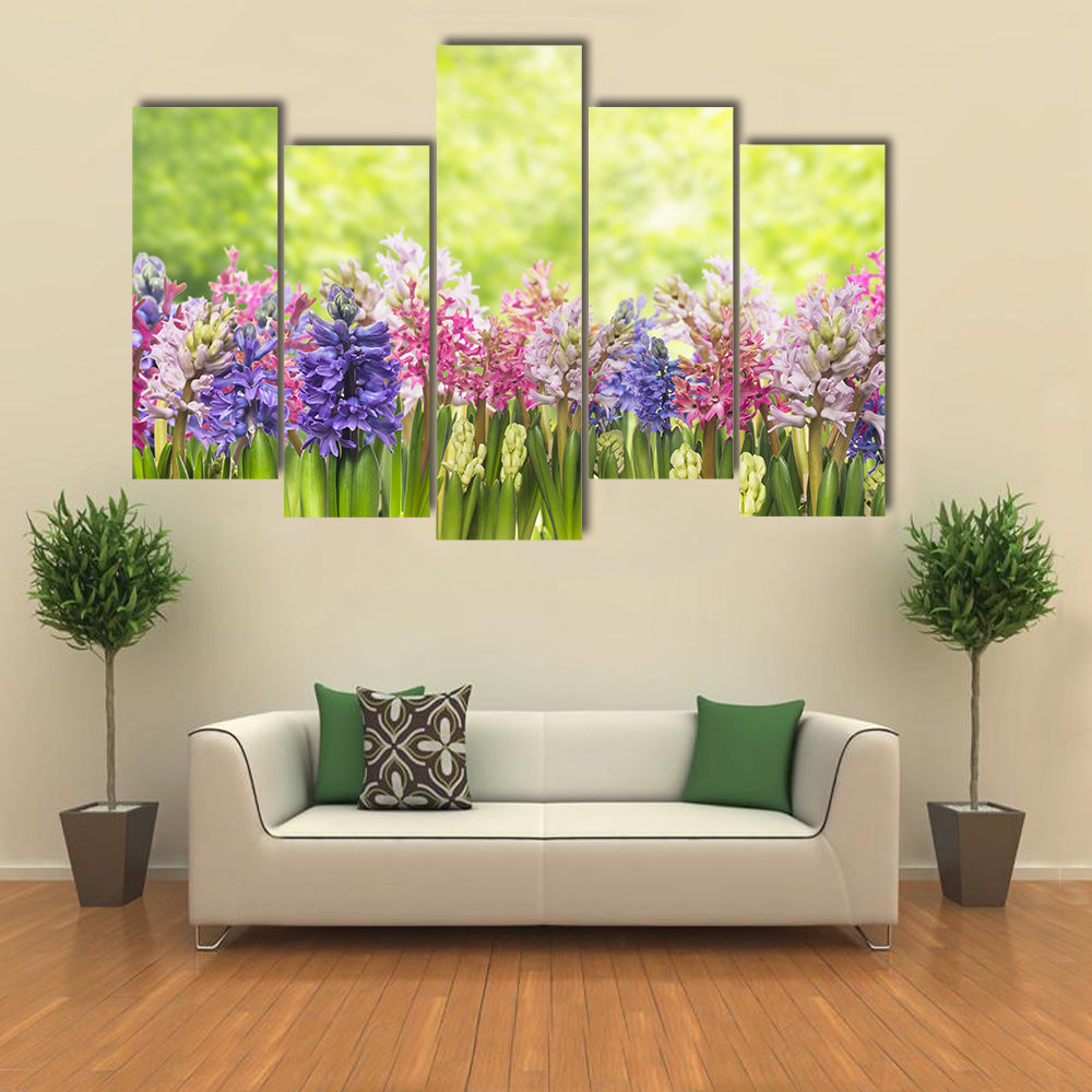 Blooming Spring Hyacinths Flowers Plant In Garden Canvas Wall Art