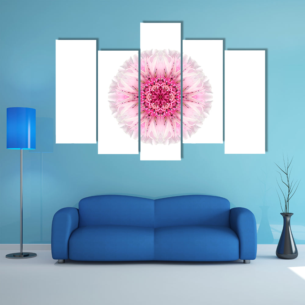 Pink Cornflower Mandala Canvas Wall Art