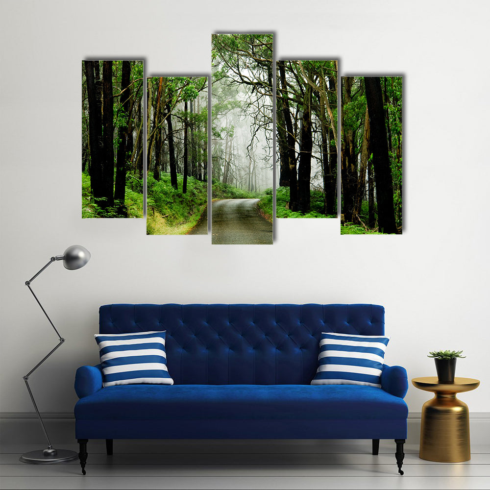Forest Road With Fog Canvas Wall Art