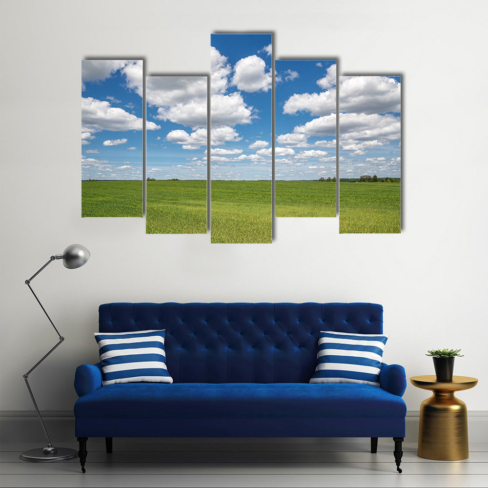 Blue Sky Over Green Field Canvas Wall Art