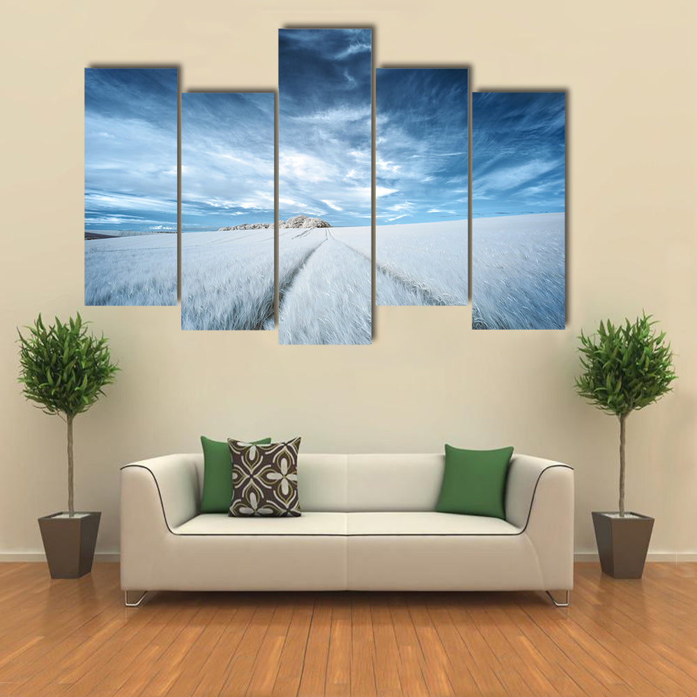 White Field with Parallel Tire Tracks Canvas Wall Art