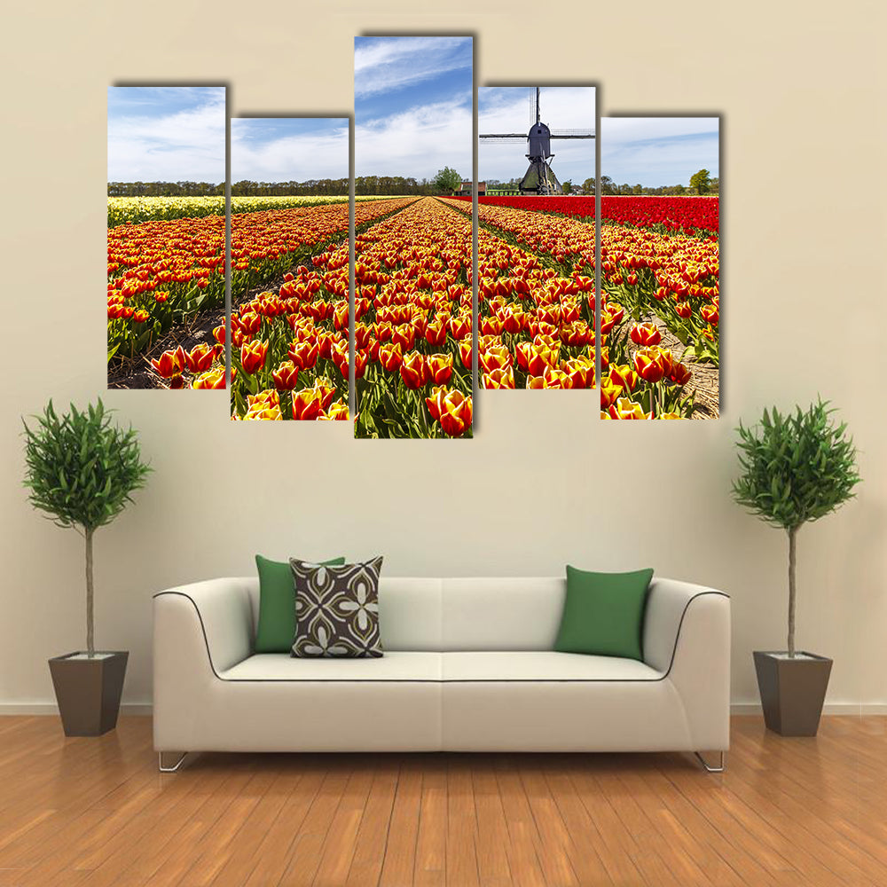 Colorful Tulip Field with Dutch Windmill Canvas Wall Art