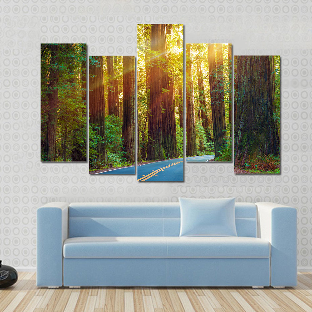 Redwood Highway In Northern California Canvas Wall Art