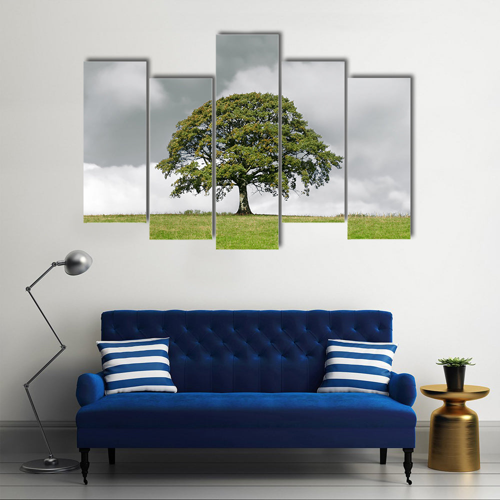 Summer Oak on Grassy Hill Canvas Wall Art