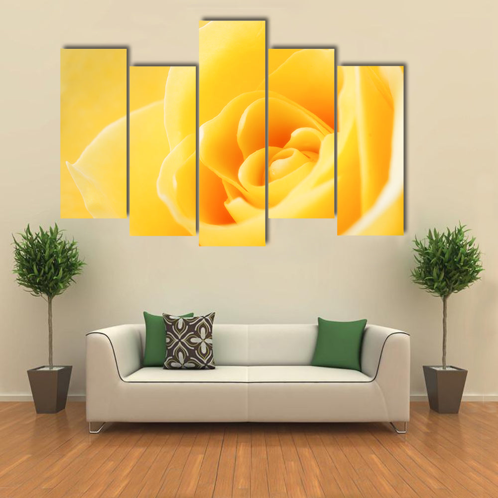 Yellow Rose Close-Up Canvas Wall Art