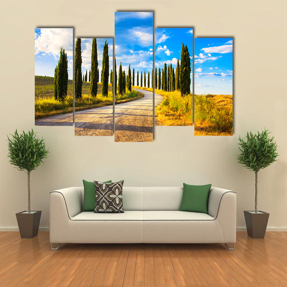 Tuscany Cypress Trees Along Winding Road Canvas Wall Art