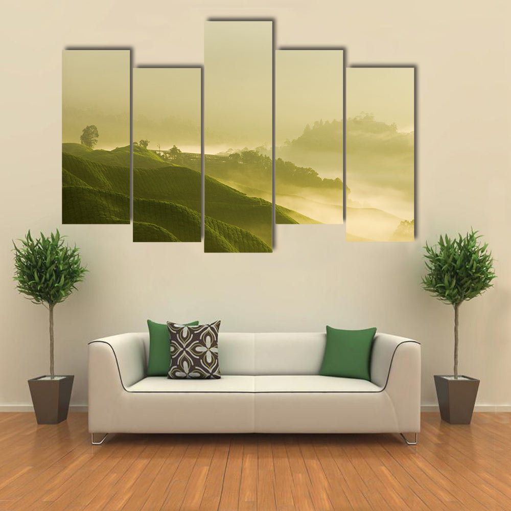 Tea Plantation At Cameron Highland Malaysia Canvas Wall Art