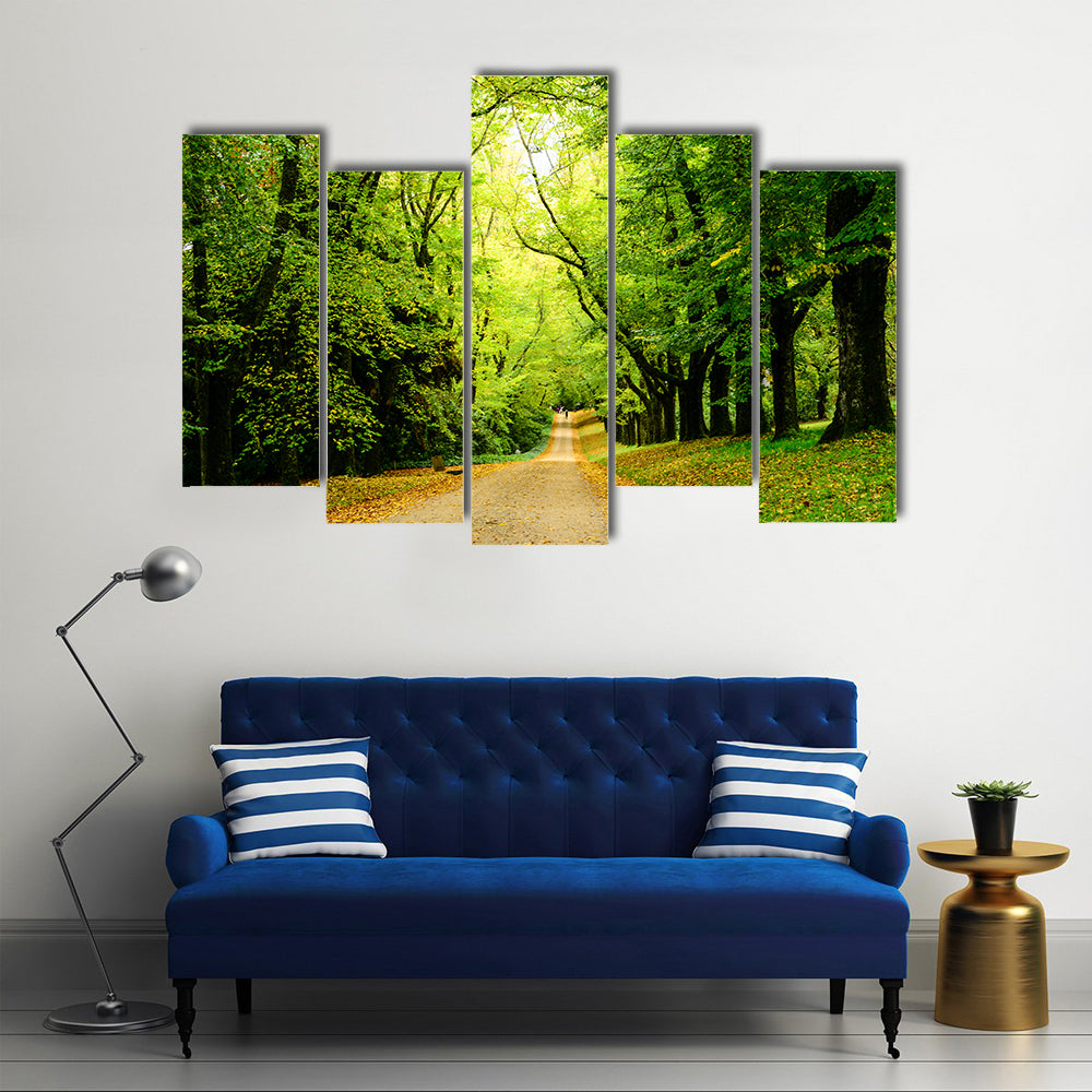 Path In The Forest Woods Canvas Wall Art