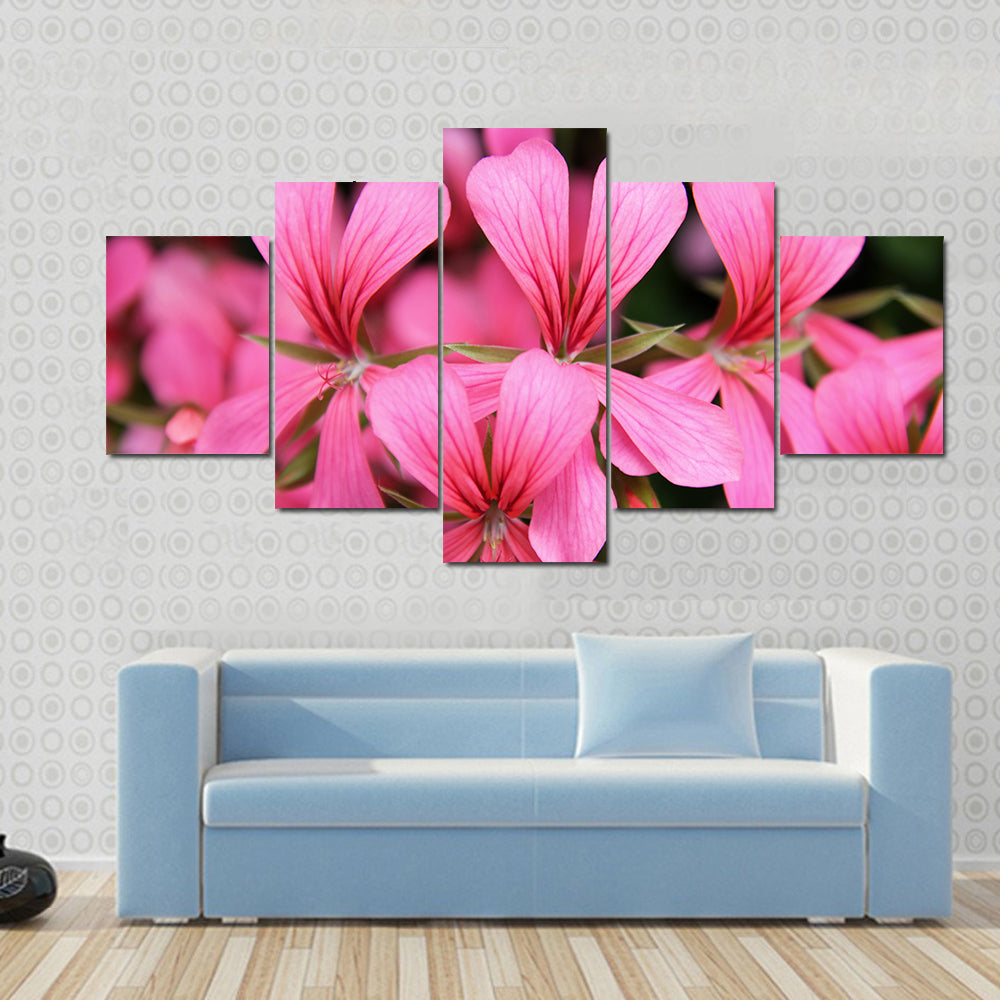 Pink Geranium Cascade Flowers Canvas Wall Art