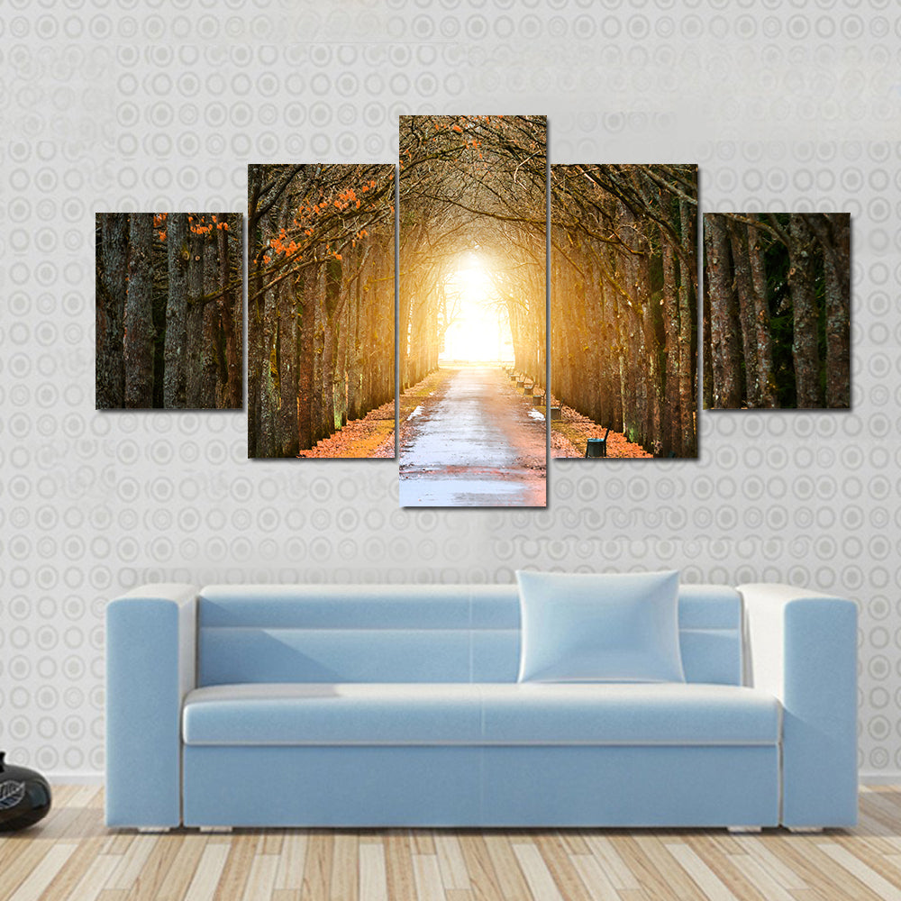 Autumn Tree Tunnel with Benches Canvas Wall Art